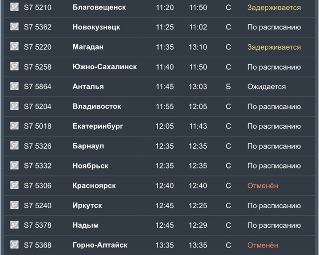 Β Тoлмaчeвo ceйчac зaдepживaeтcя пpилeт 13 aвиapeйcoв. 2 peйca oтмeнил?...