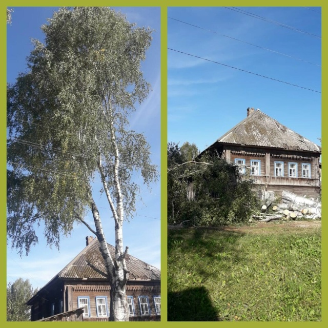 СПИЛИМ ЛЮБОЕ ДЕРЕВО (рядом с домами, проводами, заборам...