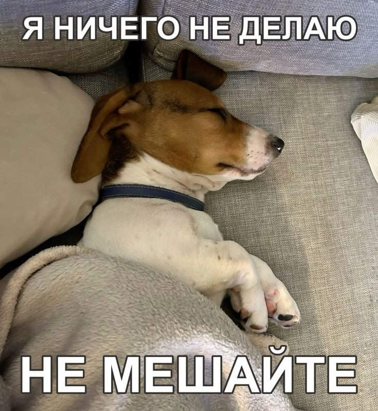 ⚡️Объявлена традиционная мемббота
Отправляй в комменты свой любимый мем👇