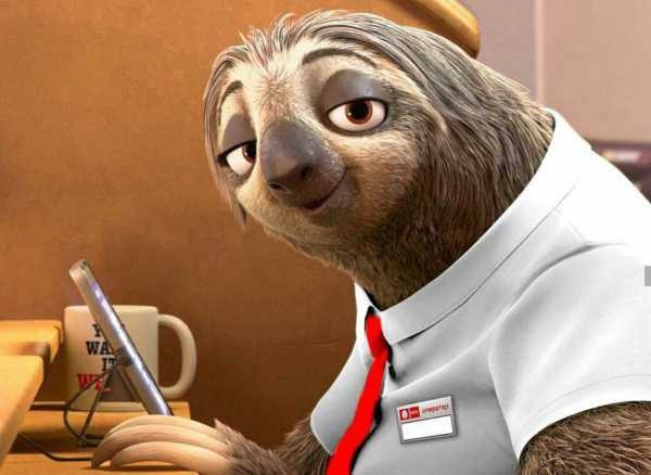 Сегодня отмечается Международный день ленивца.
Вы зн...