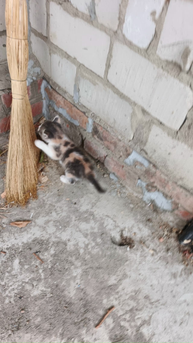 WARNING!!!
Осталась одна девочка!!!
Всех одноцветных забрал?...