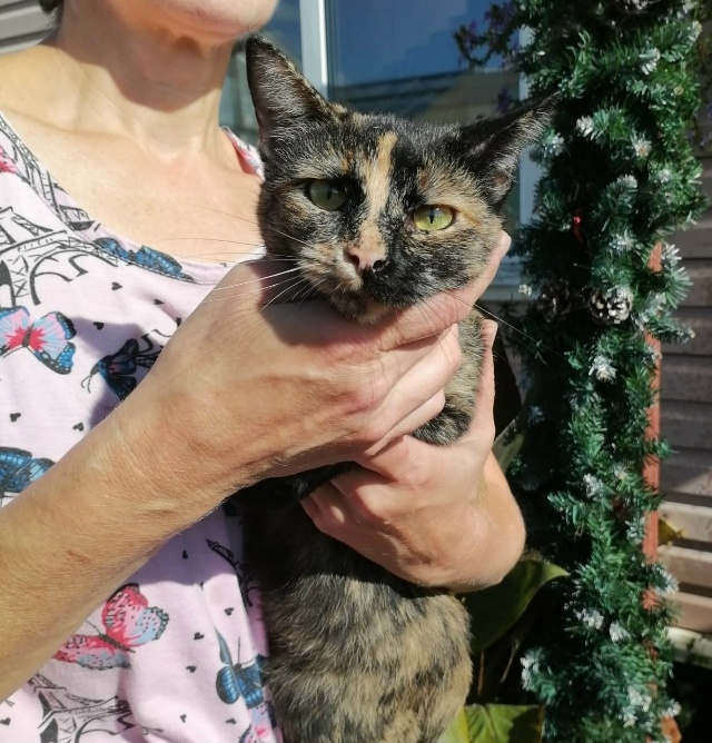 💛Трёхцветное счастье в ожидании своей семьи!🖤
Крас...