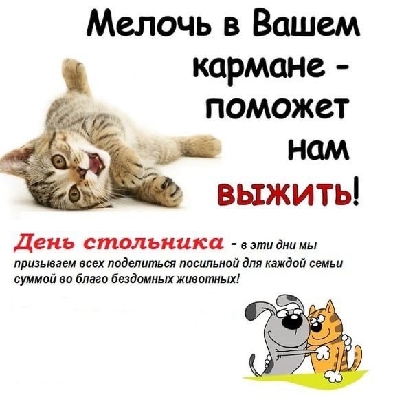 А сегодня мы объявляем ДЕНЬ СТОЛЬНИКА 👏
Приглашаем в?...