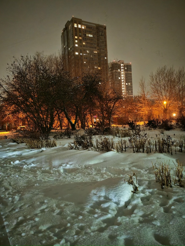 Дoбpoй нoчи, Ηoвocибиpcк 🌌