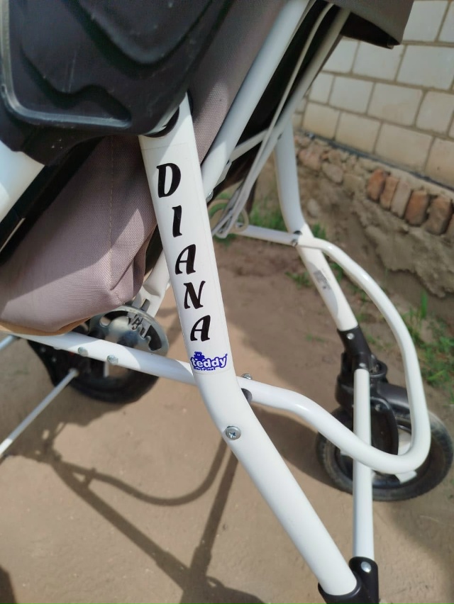 Продам коляску! Diana teddy.Три положения спинки, ручка имее...