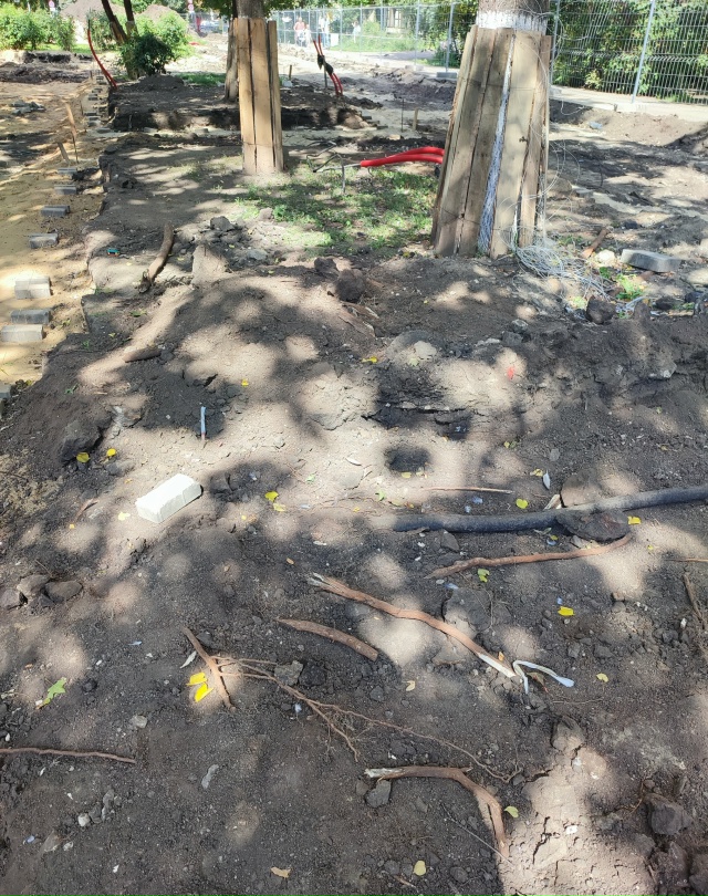 Все лето и осень в Воронеже во время ремонта бульвара К...