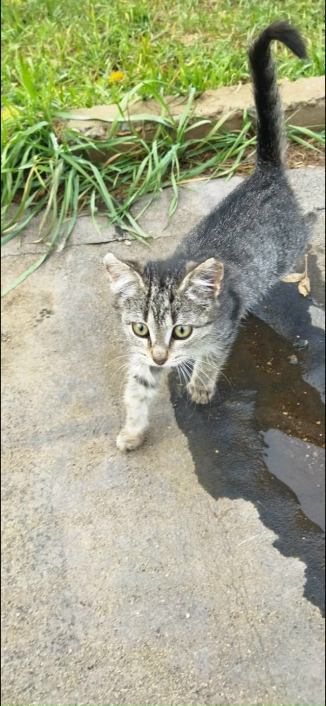 Мы сейчас живем с вами в какое то особое время,время ки?...