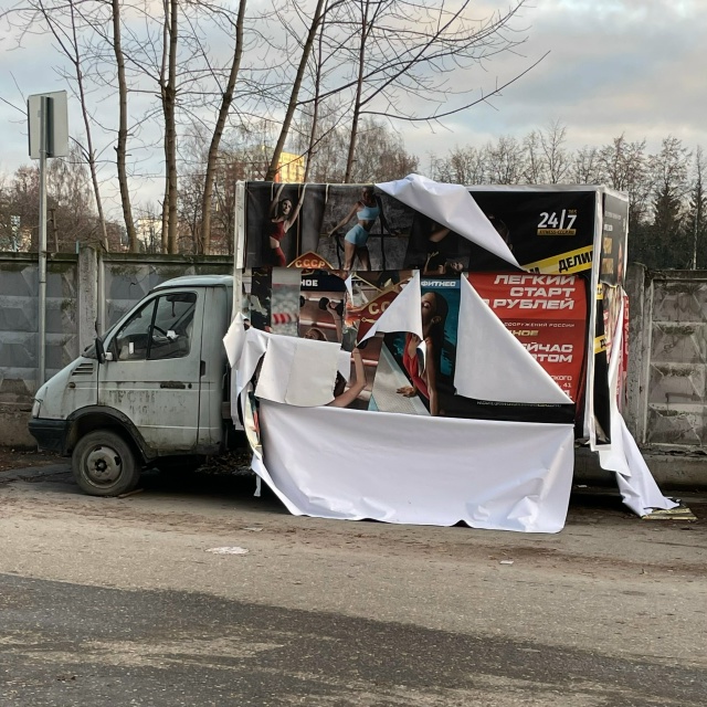 Сегодня утром гуляла с собакой и заметила несколько ст...