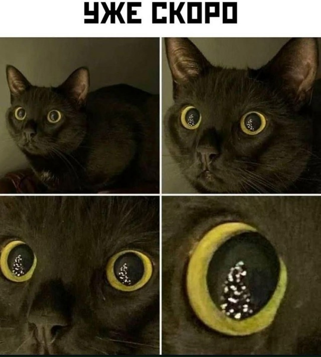 Новый год не за горами. Ждете?