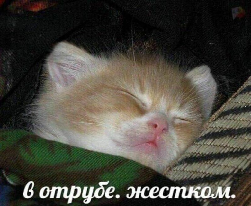 состояние под конец дня: