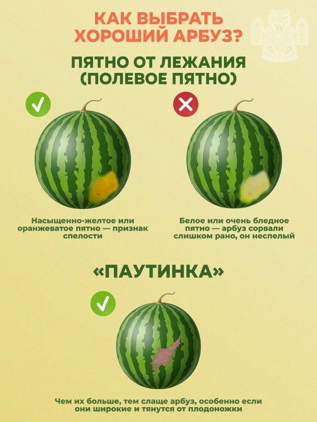 🍉 Официально начался сезон арбузов