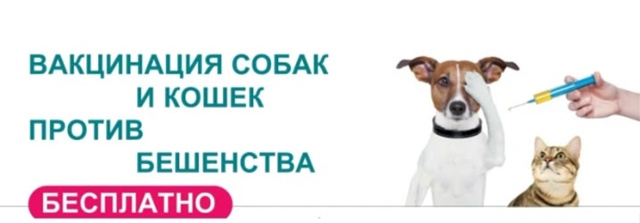 п. Либежево. 09.10.25г. около сельской администрации с 13.00ч....
