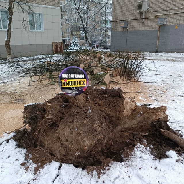 Сегодня на улице Нормандия-Неман в Смоленске произошл?...