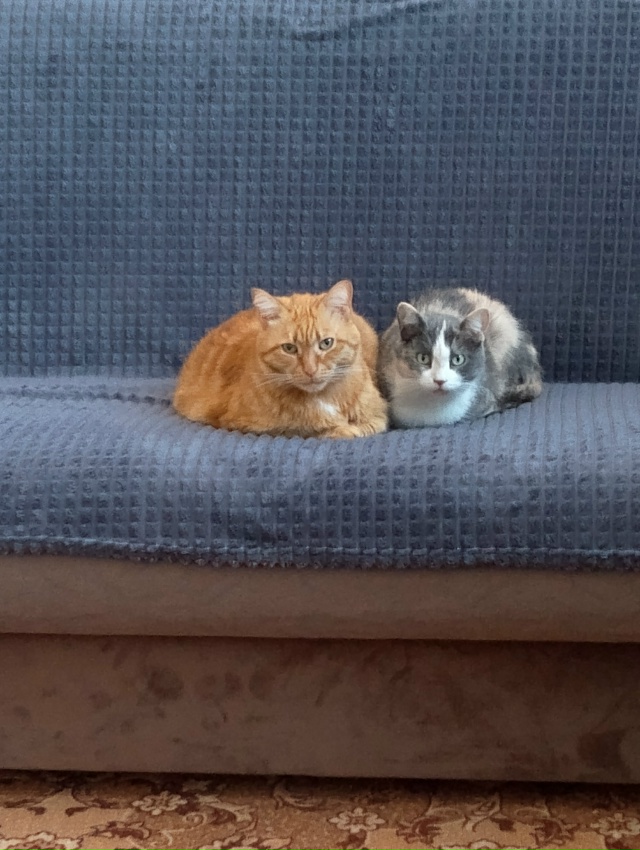 Мои любимки ❤️❤️❤️