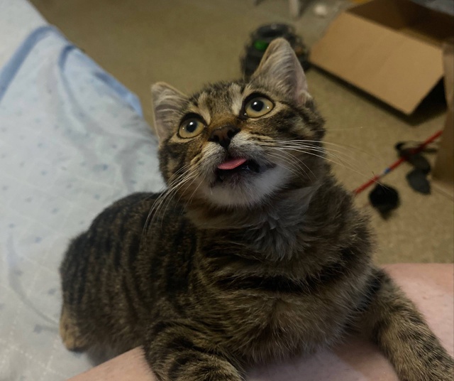 Авось повезет.
Это бомж Рома, найденый на парковке и вр...