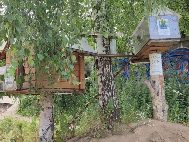 Житель Ленинского округа открыл отель для кошек на бер...