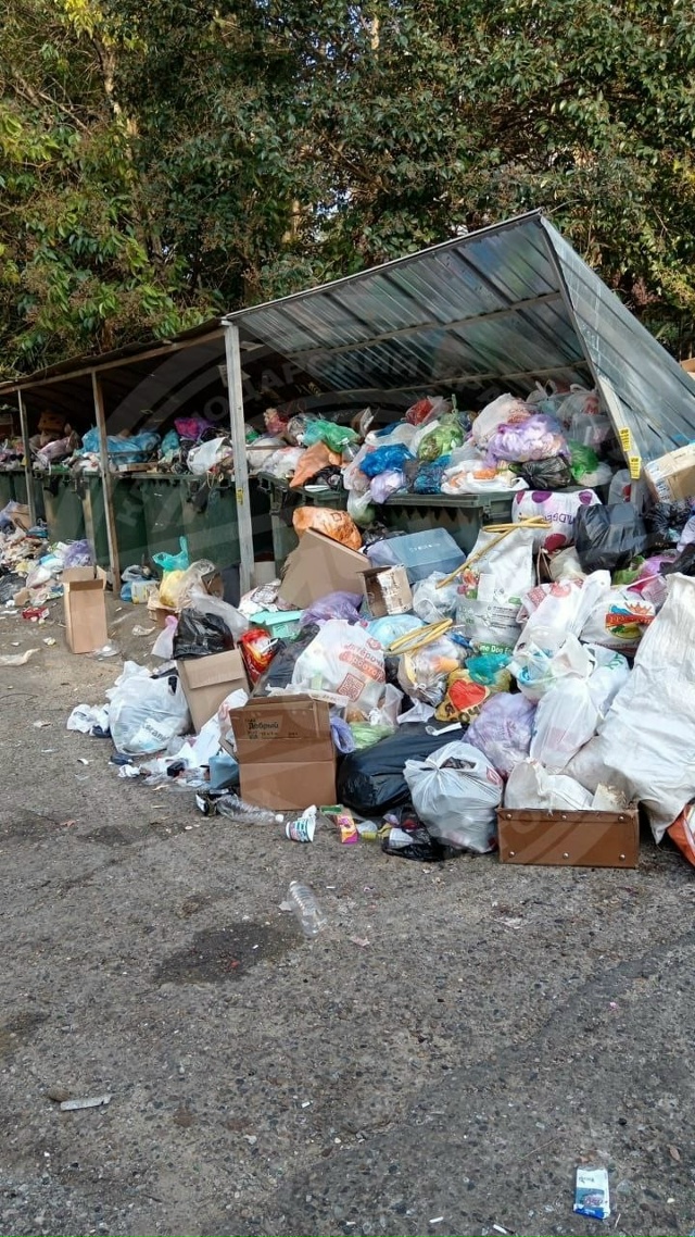 «Диван, Чемодан, Саквояж, Картина, Корзина, Картонка и м...