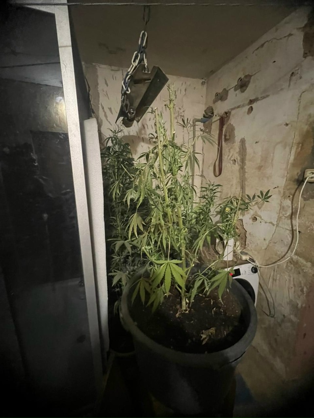 🪴Ссора с бывшей привела к уголовному делу. Совпадение...