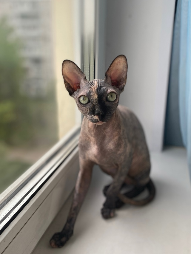 Джульке годик! ?
p.s. Последнее фото сделано в первый д?...