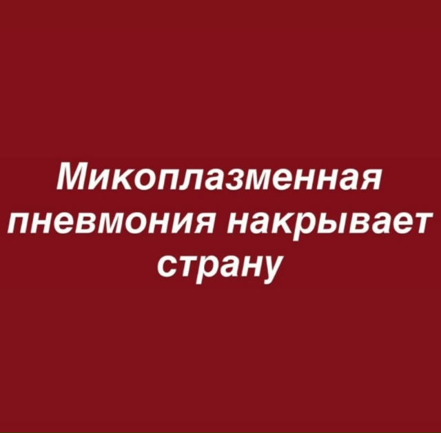 Алгоритм действий.**
Сейчас половина людей вокруг каш...