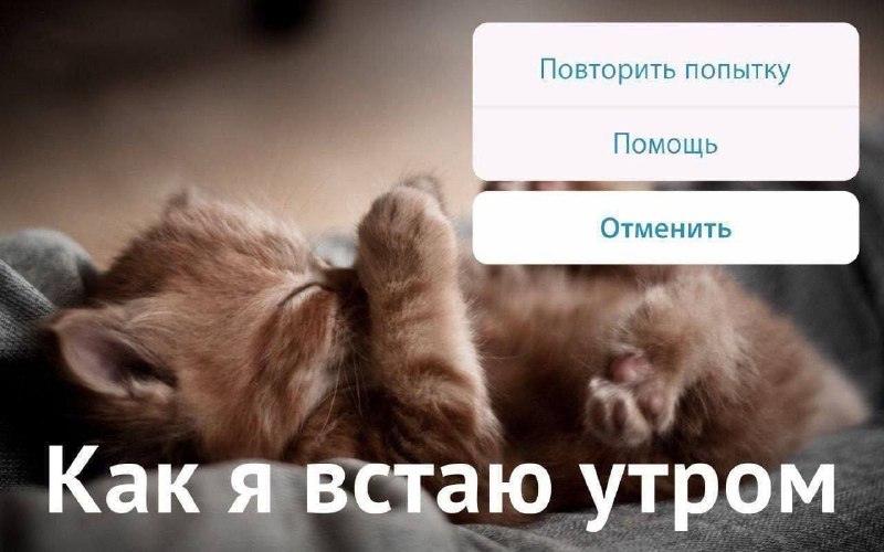 Утренняя подборочка