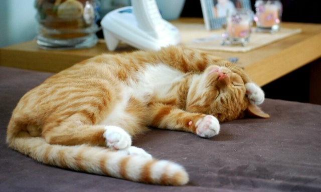 С ленью бороться можно, но …
Лень.???