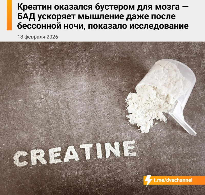 ❗️Креатин работает как бустер для мозга — это подтвердило новое исследование: оказывается, эта добав