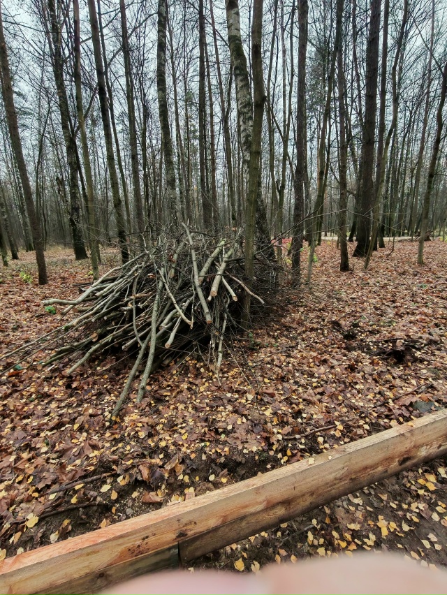 Вот, пожалуйста. Лес по улице Евстафьева решили заката?...