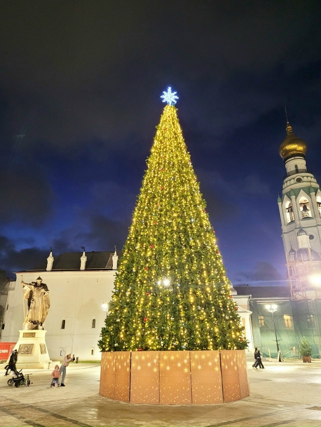 В Вологде уже установили главную новогоднюю елку. Охот...