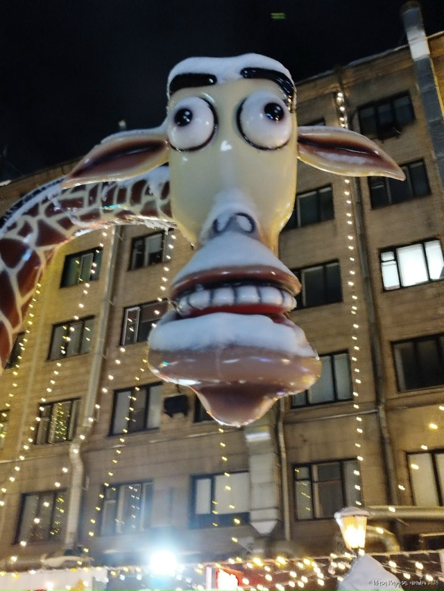 🌠 Дoбpoй нoчи, Ηoвocибиpcк!
Φoтo: Ингa Рaдугa