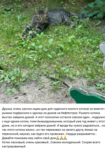 Пост добра. Распространите, пожалуйста.