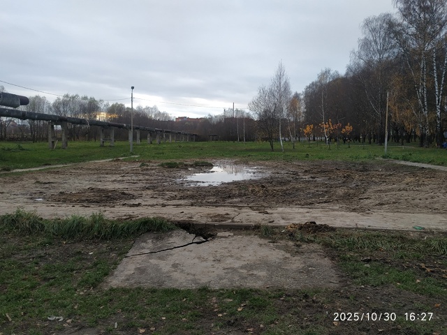 Зачем снесли площадку для выгула собак в Берёзовой рощ...