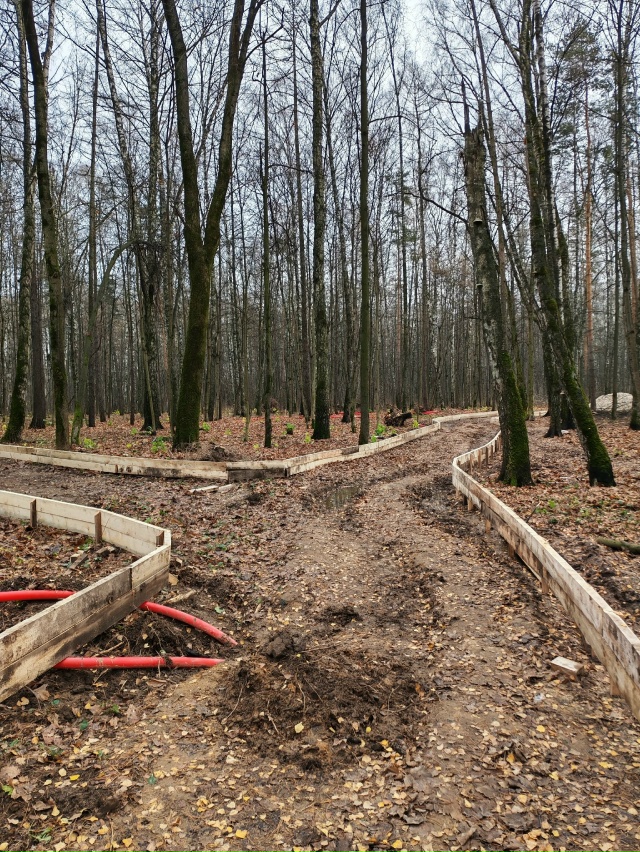 Вот, пожалуйста. Лес по улице Евстафьева решили заката?...