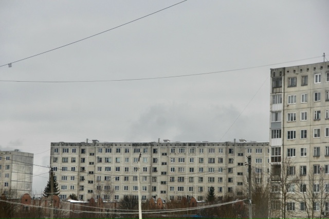 Доброе утро Родники, за окном среда, 3 декабря и природа...