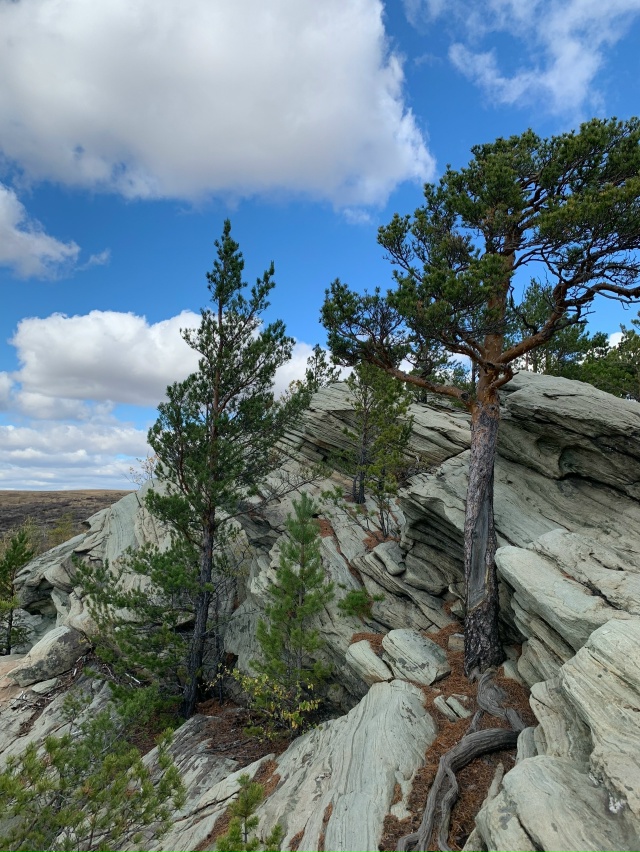 ? В Карагайском бору у реки Губерля — настоящая приро...