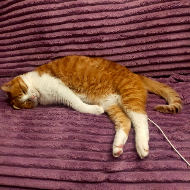 #егобезейшество на подзарядке