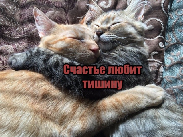 Безумные приколы
В ходе исследования было выявлено, чт...