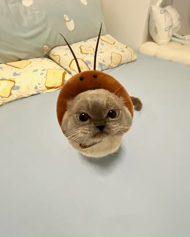 Самый прелестный жучок🥰