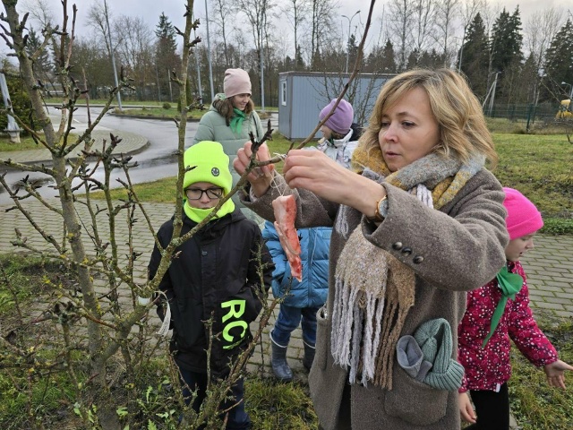 Лесничие отряды открыли птичьи столовые в селе под Мож...