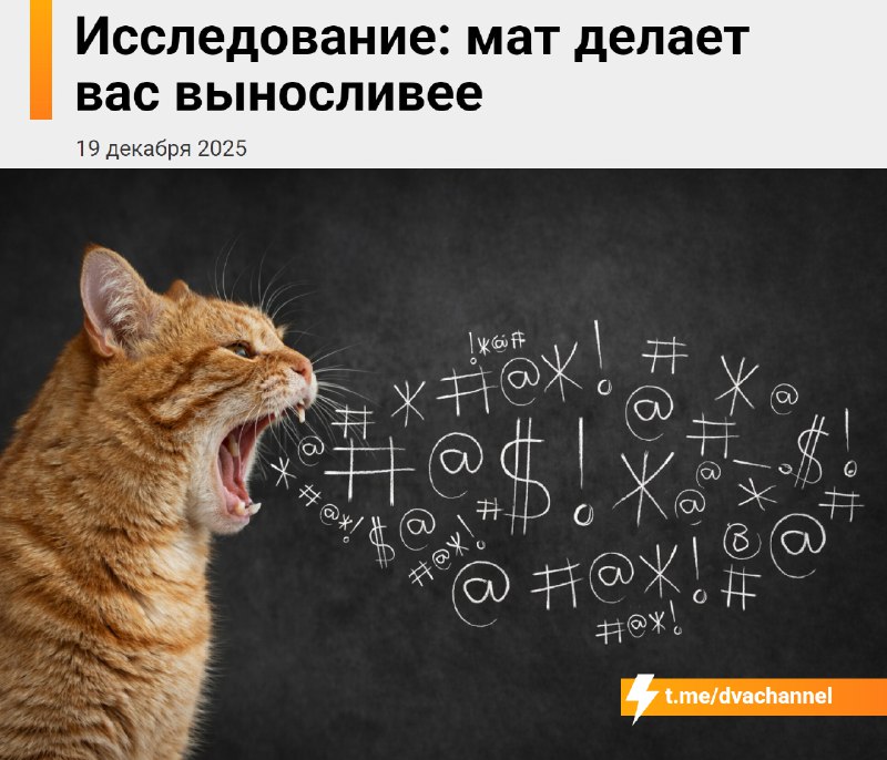 ❗️Мат делает человека выносливее, показало исследование
Учёные из Университета Кила выяснили, что г
