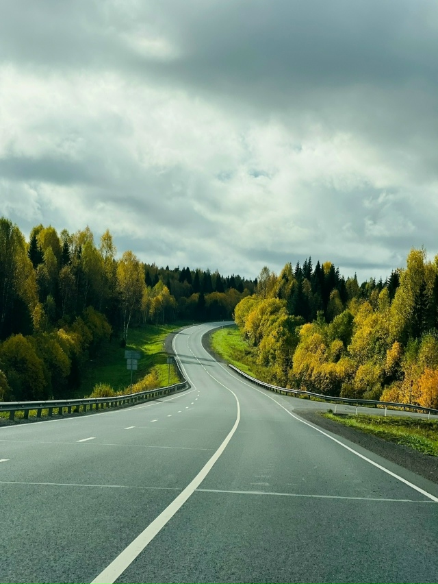 Осень вдoль дoроги Соликамск-Пермь ?
? Елена Неверов?...