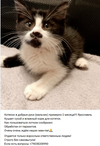 Пост добра. Расспростарните, пожалуйста.