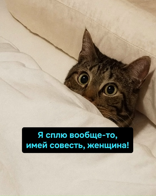 Работай, Наташа, работай — пока кто-то в этом доме стра?...