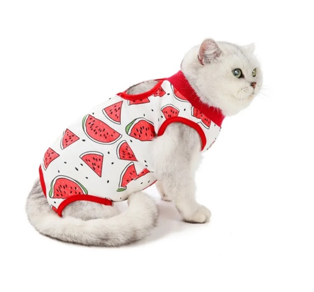 Доброго дня! Может у кого-нибудь есть б/у корсет послео?...