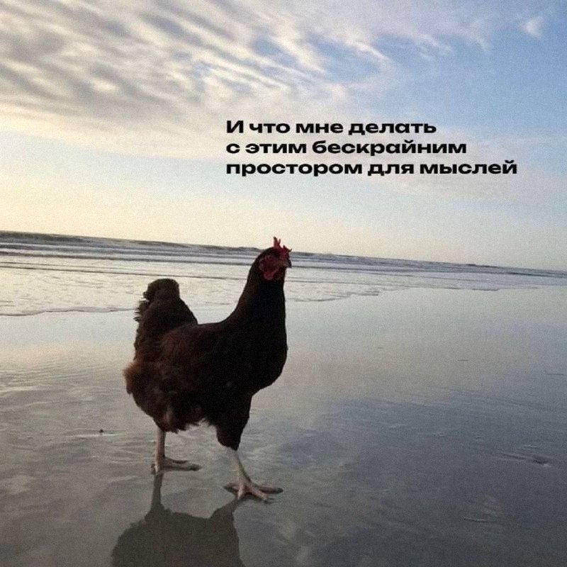Утренняя подборочка