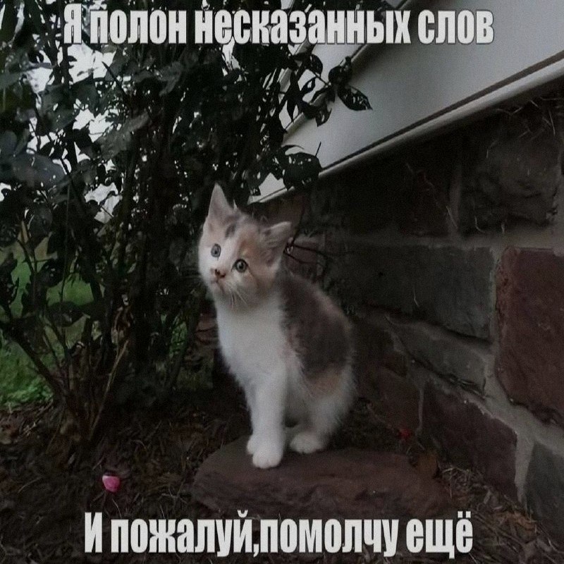 Ночная подборочка
Спать, режим