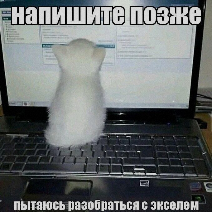Ночная подборочка
Спать, режим