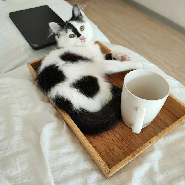 Сладкая булочка к чаю