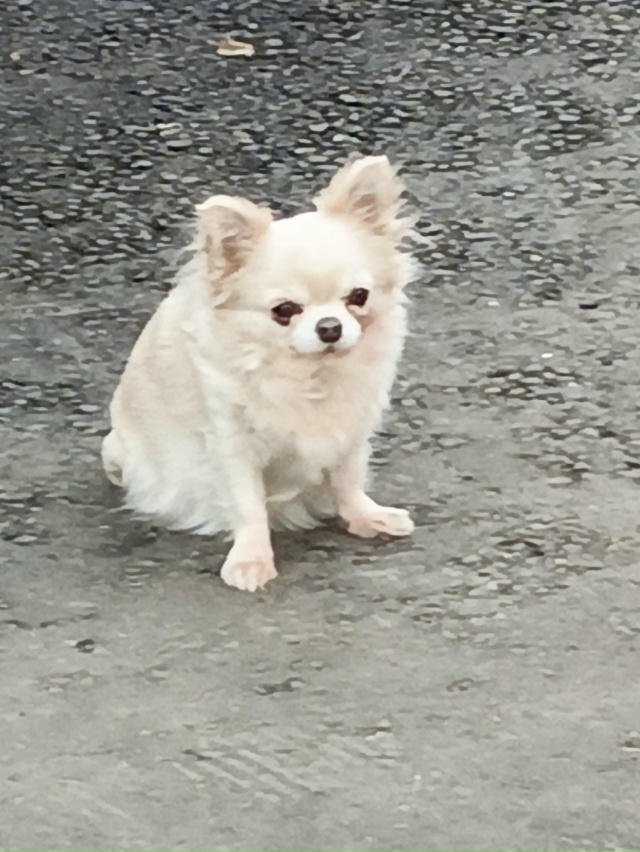 Сидит Около автобусной остановки рядом с Маяком
Добры...