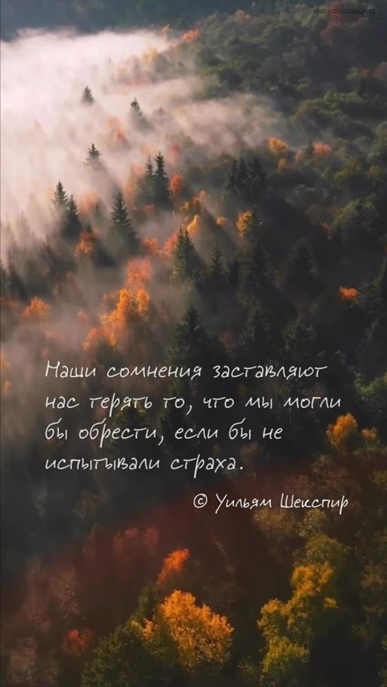 Мудрые мысли